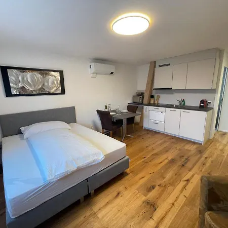 Schnyder's Studio_2 Apartment Rapperswil (St. Gallen)